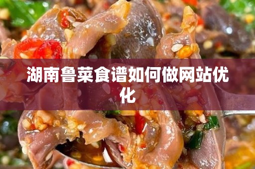 湖南鲁菜食谱如何做网站优化