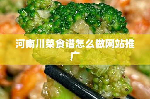 河南川菜食谱怎么做网站推广