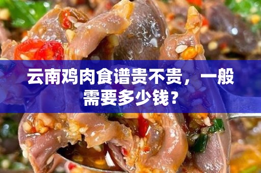 云南鸡肉食谱贵不贵，一般需要多少钱？