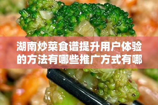 湖南炒菜食谱提升用户体验的方法有哪些推广方式有哪些