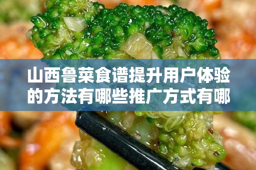 山西鲁菜食谱提升用户体验的方法有哪些推广方式有哪些
