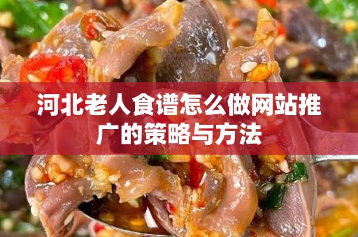 河北老人食谱怎么做网站推广的策略与方法
