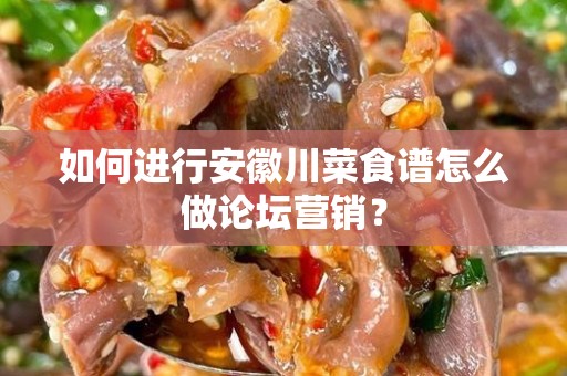 如何进行安徽川菜食谱怎么做论坛营销？