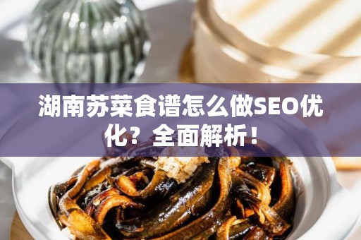 湖南苏菜食谱怎么做SEO优化？全面解析！