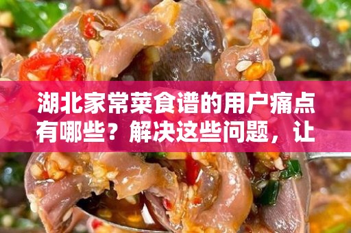 湖北家常菜食谱的用户痛点有哪些？解决这些问题，让你轻松做出美味家常菜！