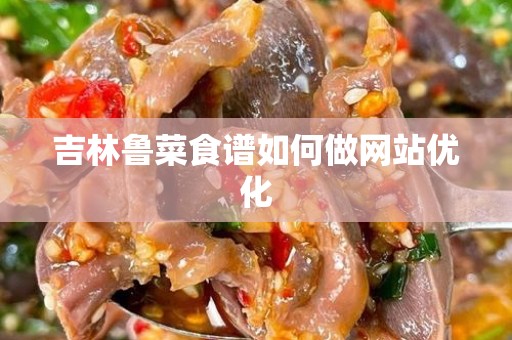 吉林鲁菜食谱如何做网站优化