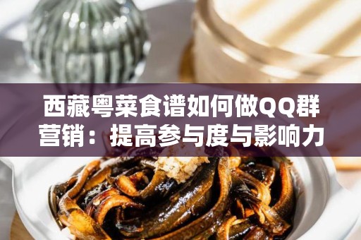西藏粤菜食谱如何做QQ群营销：提高参与度与影响力的策略