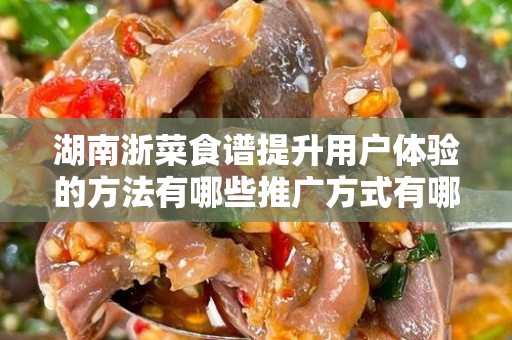 湖南浙菜食谱提升用户体验的方法有哪些推广方式有哪些