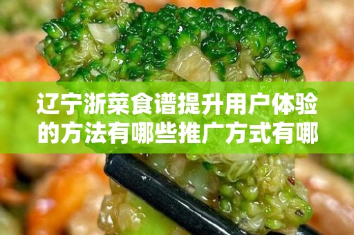 辽宁浙菜食谱提升用户体验的方法有哪些推广方式有哪些