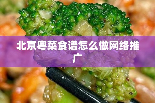 北京粤菜食谱怎么做网络推广