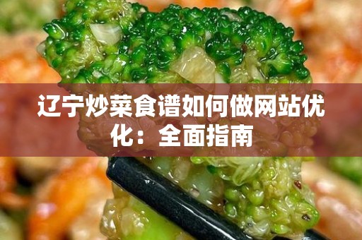 辽宁炒菜食谱如何做网站优化：全面指南