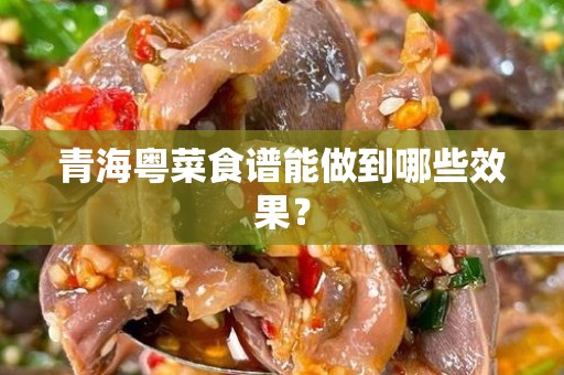 青海粤菜食谱能做到哪些效果？