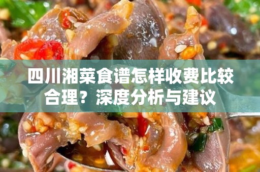四川湘菜食谱怎样收费比较合理？深度分析与建议