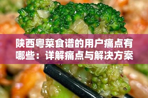陕西粤菜食谱的用户痛点有哪些：详解痛点与解决方案