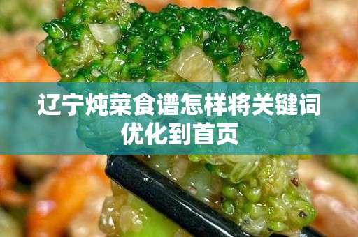 辽宁炖菜食谱怎样将关键词优化到首页