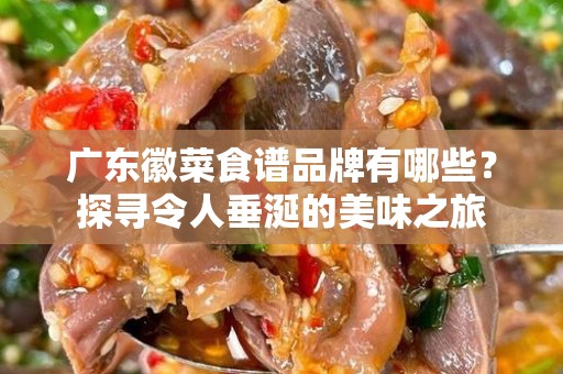 广东徽菜食谱品牌有哪些？探寻令人垂涎的美味之旅