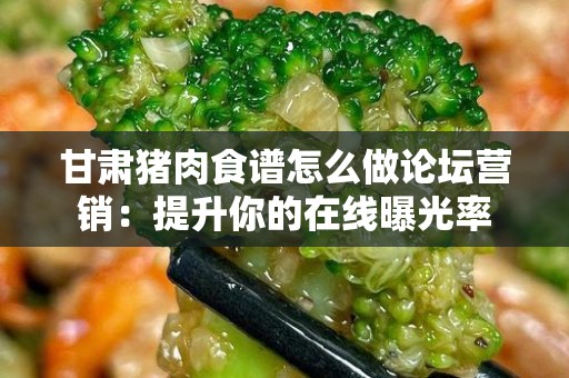 甘肃猪肉食谱怎么做论坛营销：提升你的在线曝光率