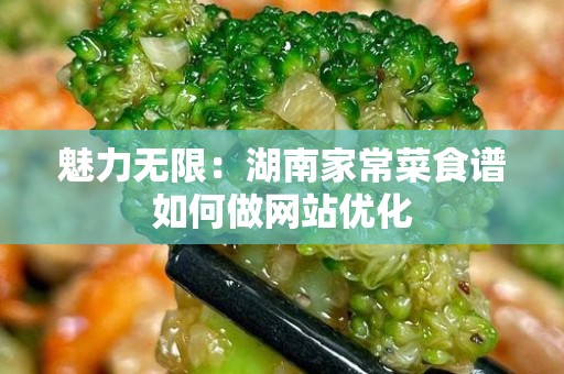 魅力无限：湖南家常菜食谱如何做网站优化