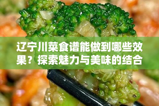辽宁川菜食谱能做到哪些效果？探索魅力与美味的结合
