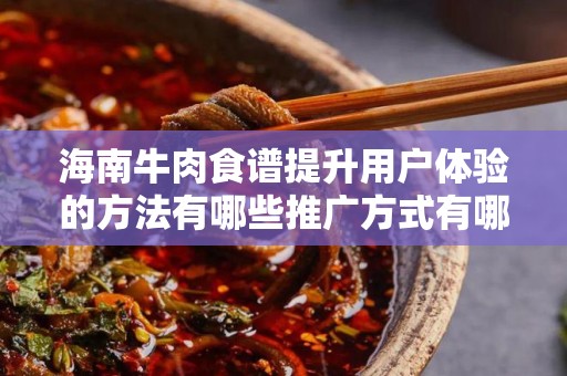 海南牛肉食谱提升用户体验的方法有哪些推广方式有哪些