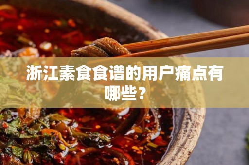 浙江素食食谱的用户痛点有哪些？