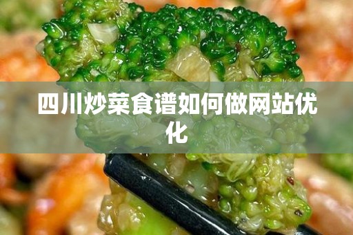 四川炒菜食谱如何做网站优化