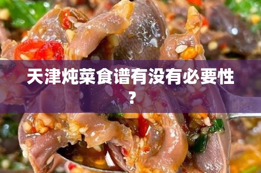 天津炖菜食谱有没有必要性？