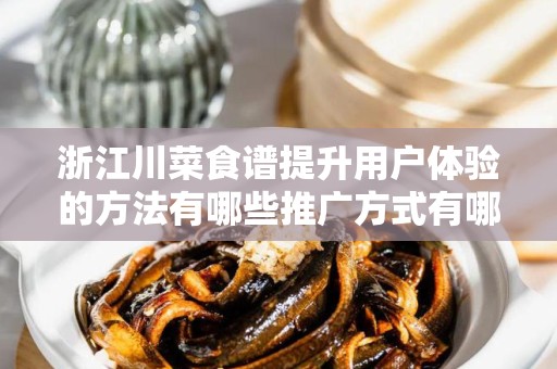 浙江川菜食谱提升用户体验的方法有哪些推广方式有哪些