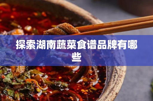 探索湖南蔬菜食谱品牌有哪些