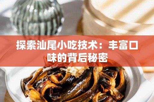 探索汕尾小吃技术：丰富口味的背后秘密