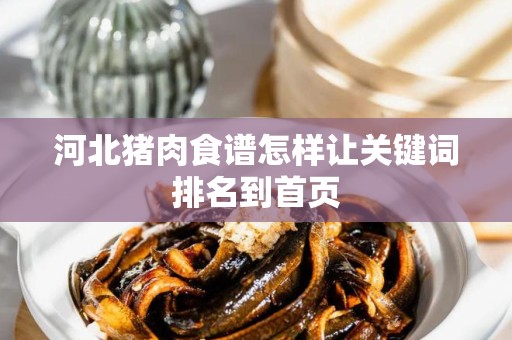 河北猪肉食谱怎样让关键词排名到首页