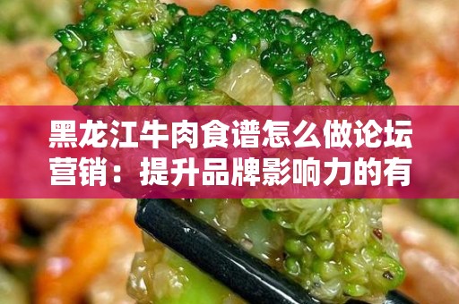 黑龙江牛肉食谱怎么做论坛营销：提升品牌影响力的有效策略