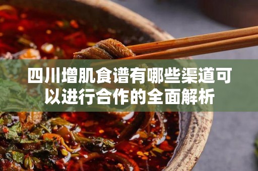 四川增肌食谱有哪些渠道可以进行合作的全面解析