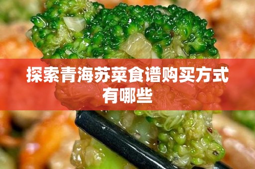 探索青海苏菜食谱购买方式有哪些