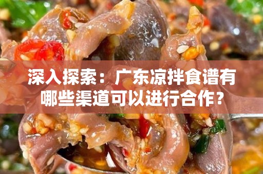 深入探索：广东凉拌食谱有哪些渠道可以进行合作？