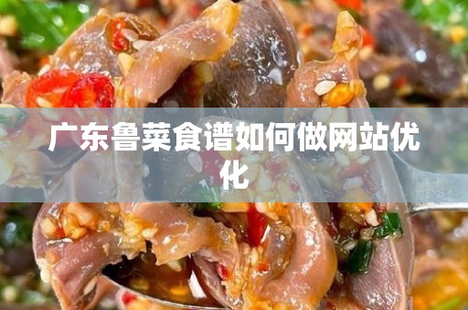 广东鲁菜食谱如何做网站优化