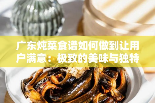 广东炖菜食谱如何做到让用户满意：极致的美味与独特的技巧