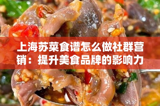 上海苏菜食谱怎么做社群营销：提升美食品牌的影响力