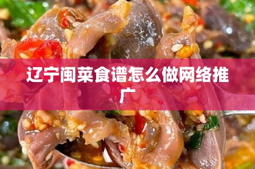 辽宁闽菜食谱怎么做网络推广