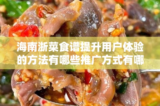 海南浙菜食谱提升用户体验的方法有哪些推广方式有哪些