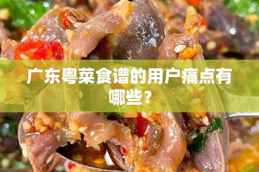 广东粤菜食谱的用户痛点有哪些？