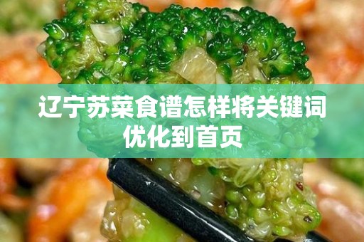 辽宁苏菜食谱怎样将关键词优化到首页