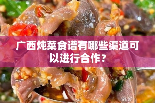 广西炖菜食谱有哪些渠道可以进行合作？
