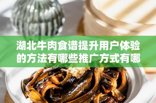 湖北牛肉食谱提升用户体验的方法有哪些推广方式有哪些