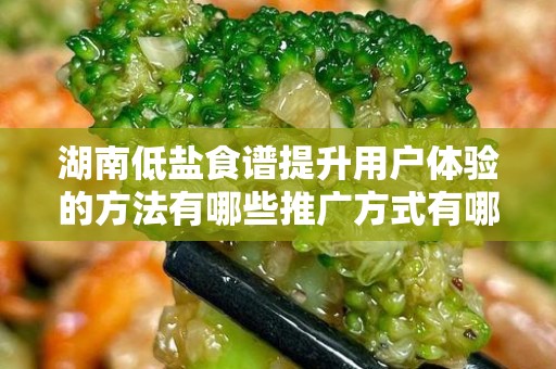 湖南低盐食谱提升用户体验的方法有哪些推广方式有哪些