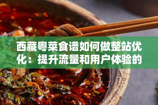 西藏粤菜食谱如何做整站优化：提升流量和用户体验的关键策略