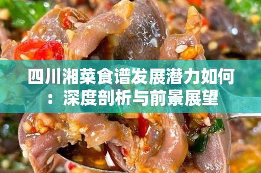 四川湘菜食谱发展潜力如何：深度剖析与前景展望