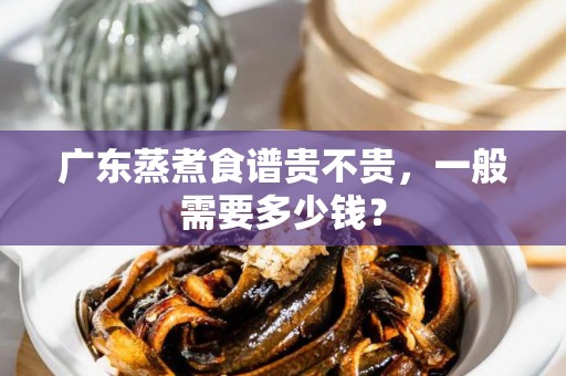 广东蒸煮食谱贵不贵，一般需要多少钱？