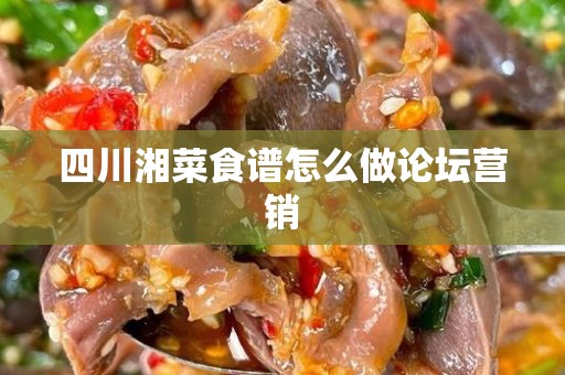 四川湘菜食谱怎么做论坛营销