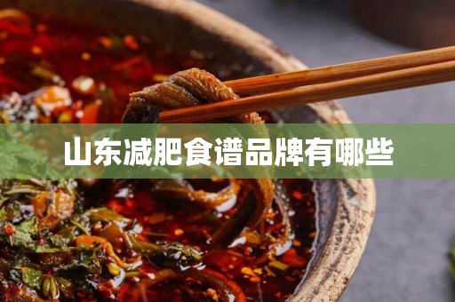 山东减肥食谱品牌有哪些